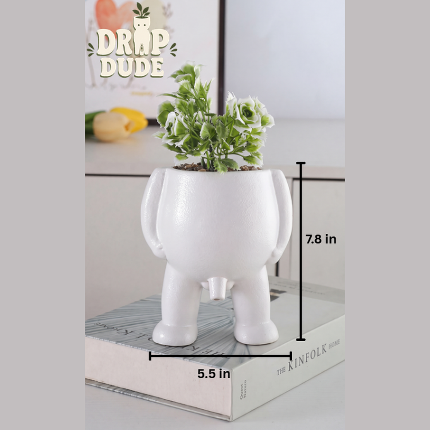 Drip Vase size dimensions - white, 7.8in x 5.5in